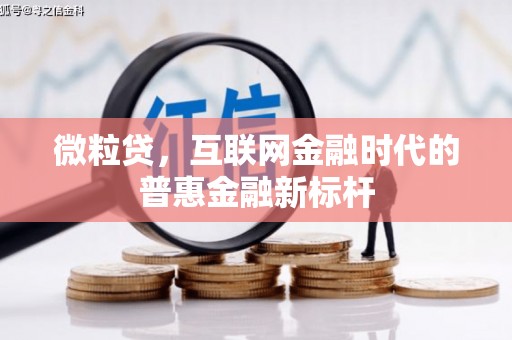 沈河微粒贷，互联网金融时代的普惠金融新标杆