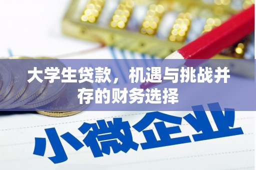 沈河大学生贷款，机遇与挑战并存的财务选择