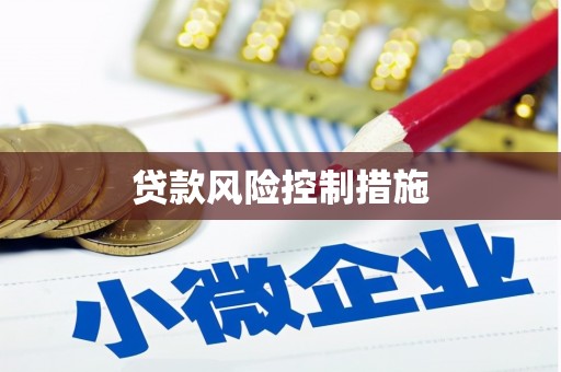 沈河贷款风险控制措施
