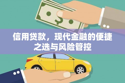 沈河信用贷款，现代金融的便捷之选与风险管控