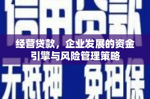 沈河经营贷款，企业发展的资金引擎与风险管理策略