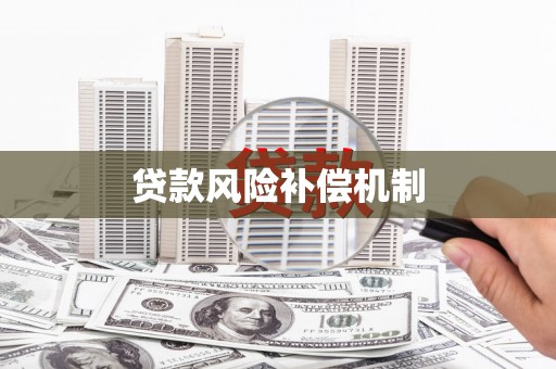 沈河贷款风险补偿机制