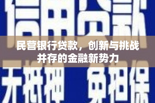 沈河民营银行贷款，创新与挑战并存的金融新势力