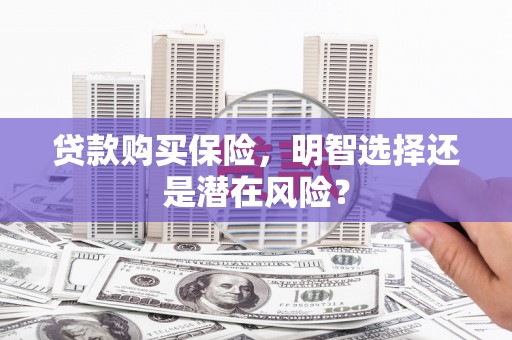 沈河贷款购买保险，明智选择还是潜在风险？