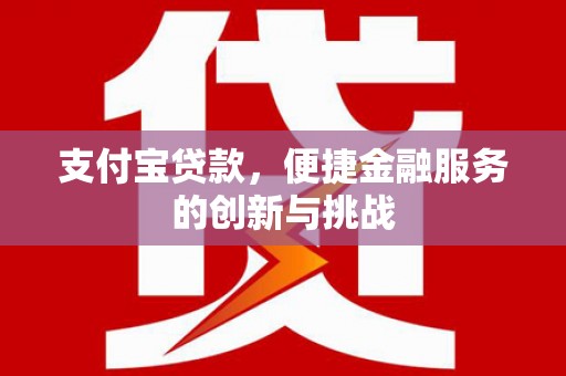 沈河支付宝贷款，便捷金融服务的创新与挑战