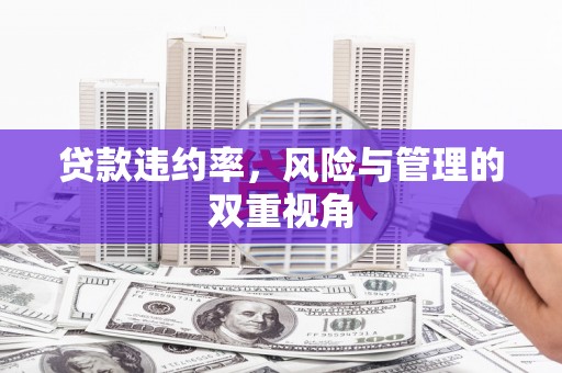 沈河贷款违约率，风险与管理的双重视角