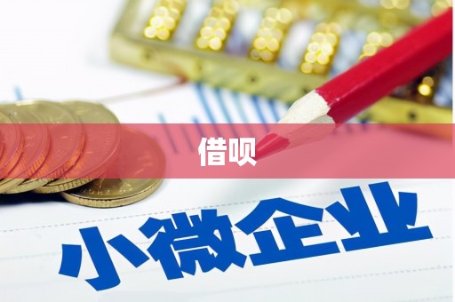 沈河借呗