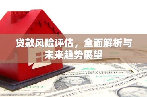 沈河贷款风险评估，全面解析与未来趋势展望