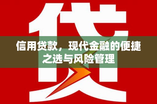 沈河信用贷款，现代金融的便捷之选与风险管理