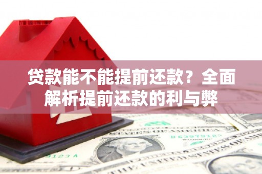 沈河贷款能不能提前还款？全面解析提前还款的利与弊
