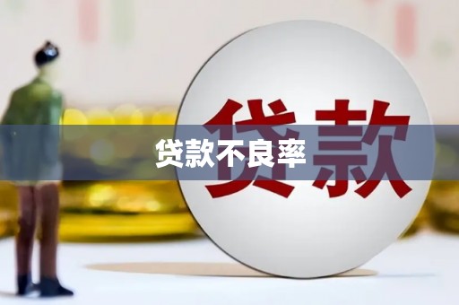 沈河贷款不良率