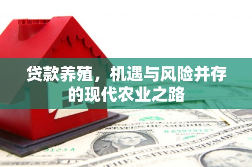 沈河贷款养殖，机遇与风险并存的现代农业之路