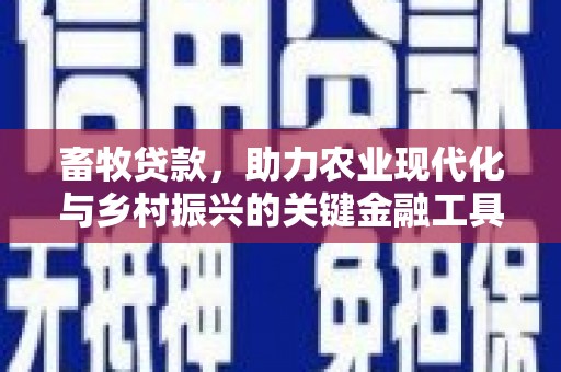 沈河畜牧贷款，助力农业现代化与乡村振兴的关键金融工具