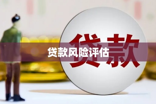 沈河贷款风险评估