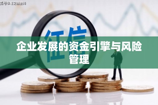 沈河企业发展的资金引擎与风险管理
