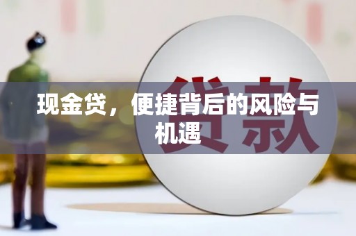 沈河现金贷，便捷背后的风险与机遇