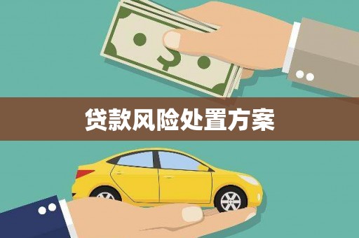 沈河贷款风险处置方案