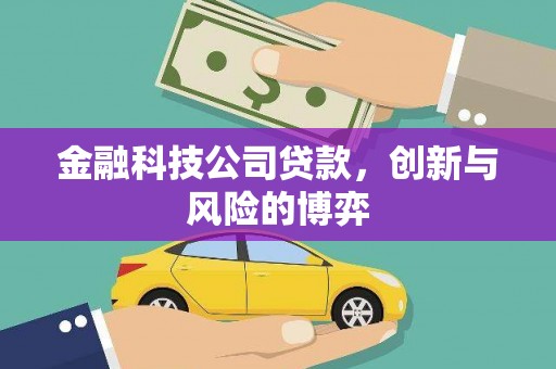 沈河金融科技公司贷款，创新与风险的博弈