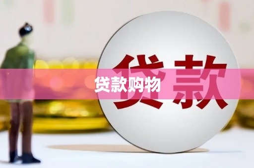 沈河贷款购物