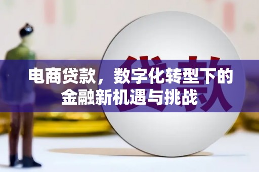 沈河电商贷款，数字化转型下的金融新机遇与挑战