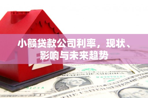 沈河小额贷款公司利率，现状、影响与未来趋势
