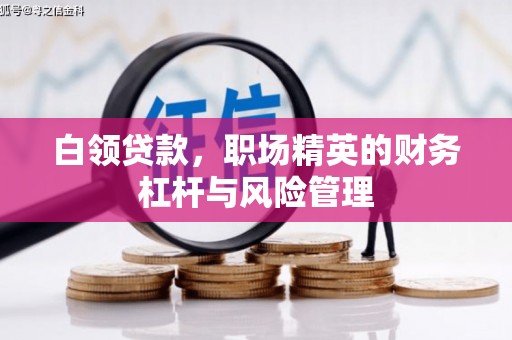 沈河白领贷款，职场精英的财务杠杆与风险管理