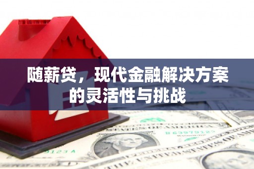 沈河随薪贷，现代金融解决方案的灵活性与挑战