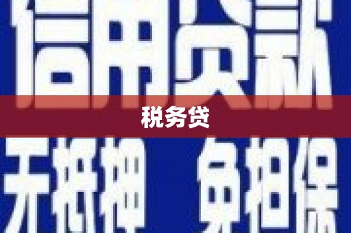 沈河税务贷