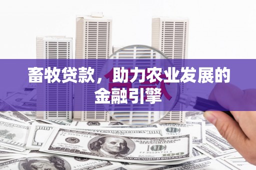 沈河畜牧贷款，助力农业发展的金融引擎