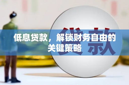 沈河低息贷款，解锁财务自由的关键策略