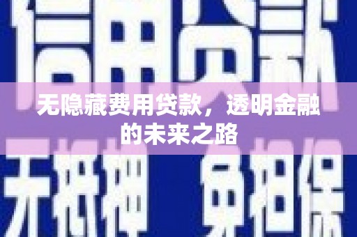 沈河无隐藏费用贷款，透明金融的未来之路