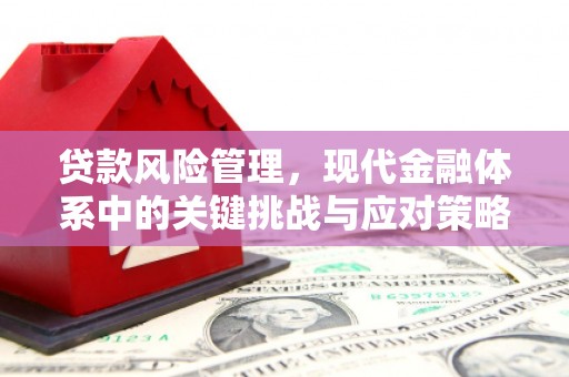 沈河贷款风险管理，现代金融体系中的关键挑战与应对策略