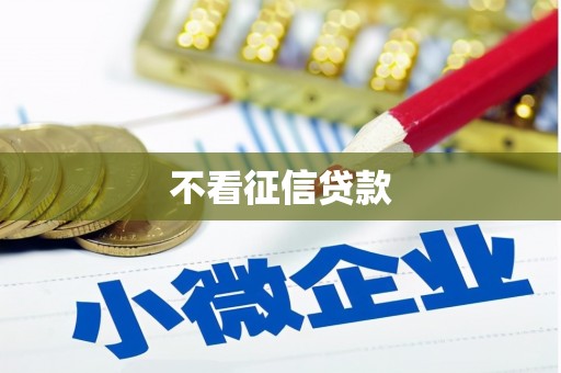 沈河不看征信贷款