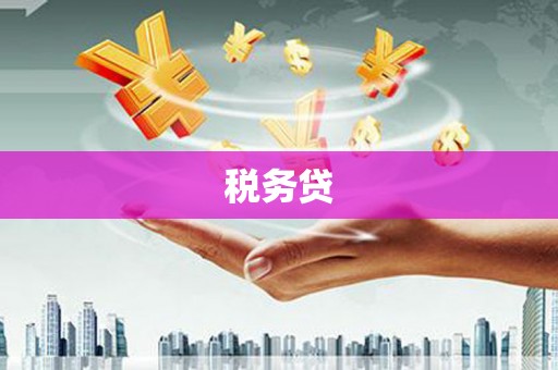 沈河税务贷