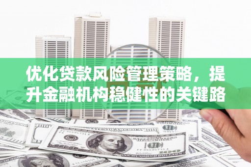 沈河优化贷款风险管理策略，提升金融机构稳健性的关键路径