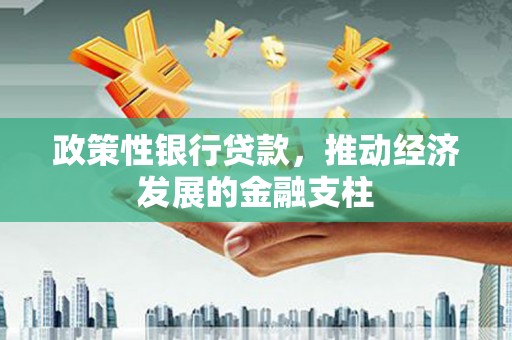 沈河政策性银行贷款，推动经济发展的金融支柱