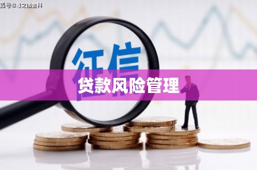 沈河贷款风险管理