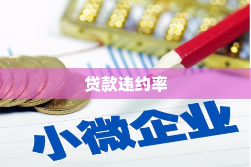 沈河贷款违约率