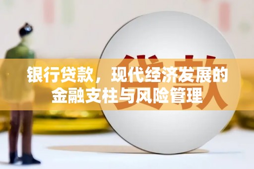 沈河银行贷款，现代经济发展的金融支柱与风险管理