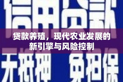 沈河贷款养殖，现代农业发展的新引擎与风险控制