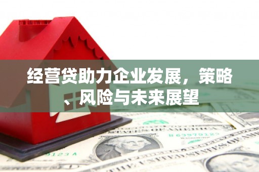 沈河经营贷助力企业发展，策略、风险与未来展望