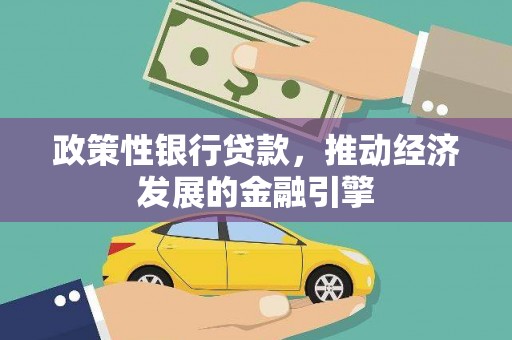 沈河政策性银行贷款，推动经济发展的金融引擎
