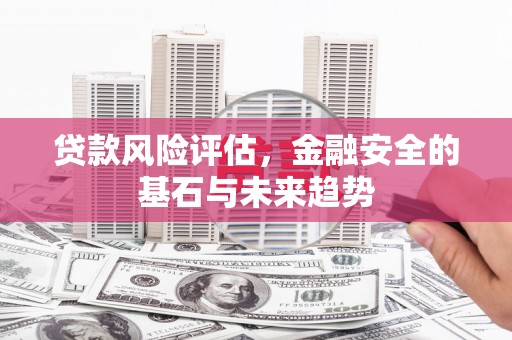 沈河贷款风险评估，金融安全的基石与未来趋势