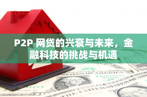 沈河P2P 网贷的兴衰与未来，金融科技的挑战与机遇