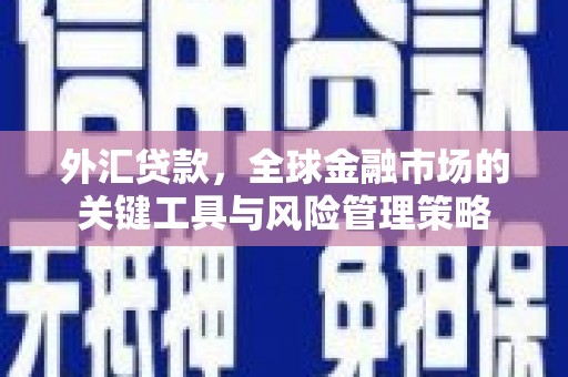 沈河外汇贷款，全球金融市场的关键工具与风险管理策略