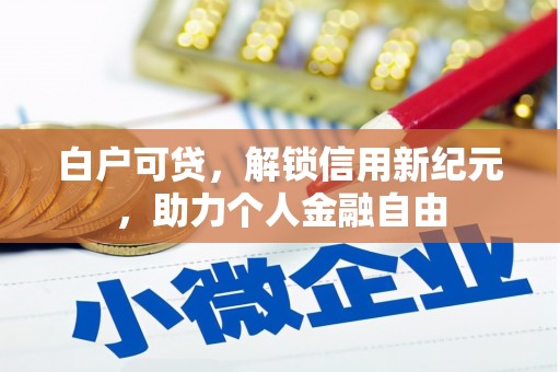 沈河白户可贷，解锁信用新纪元，助力个人金融自由