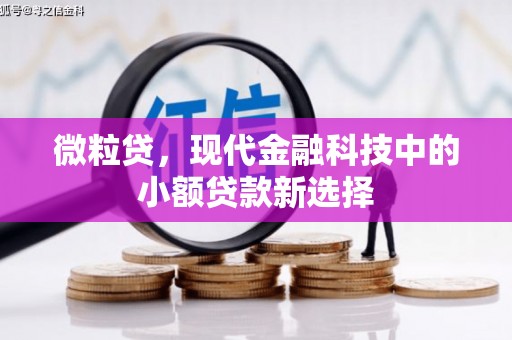 沈河微粒贷，现代金融科技中的小额贷款新选择
