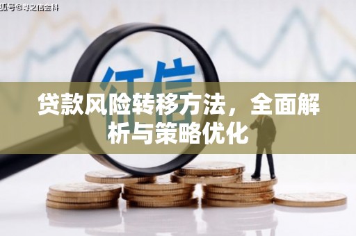 沈河贷款风险转移方法，全面解析与策略优化