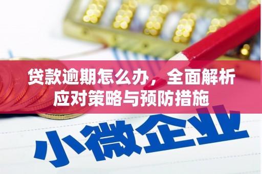 沈河贷款逾期怎么办，全面解析应对策略与预防措施