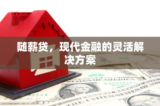沈河随薪贷，现代金融的灵活解决方案